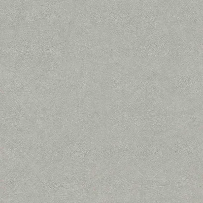 Produktbild von Rasch Vliestapete 520255 Concrete putzstruktur grau, 10,05 x 0,53 m