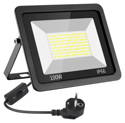 LED-Schijnwerfer 100W, 1000lm, 6500K, IP66, Außenstrahler