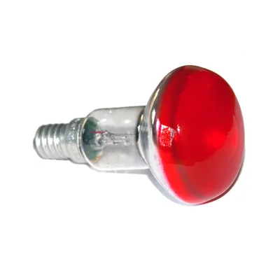 Produktbild von Ormalight Reflektor Glühbirne Spot Color R50 25W E14 farbig Rot