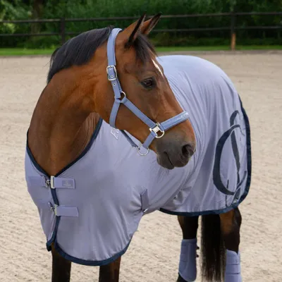 Produktbild von Eskadron SPARKLE DOUBLE PIN Halfter orchid Classic Sports F/S 2026, Größe:W