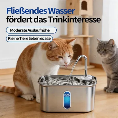 Produktbild von Trinkbrunnen für Haustiere Wasserbrunnen Frisches Wasser für Katze und Hunde Fließendes Wasser mit Wasserstandsfenster
