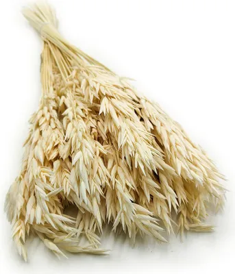 Produktbild von Getrocknete Gerste - Gebleicht