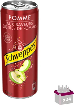 Image de Schweppes Pomme - 24 x 33 cL