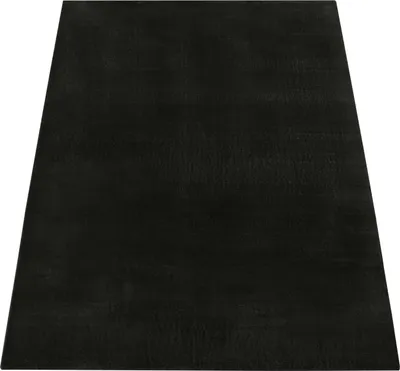 Produktbild von Teppich Kurzflor waschbar Unifarben Wohnzimmer schmutzabweisend Schwarz Rechteckig 140x200 | 100% Polyester | Florhöhe: 10 mm | pflegeleicht