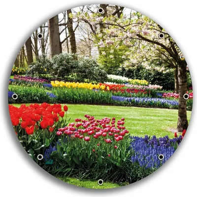 Produktbild von Wallario rundes Outdoor-Poster für Garten oder Balkon, Motiv Bunte Blumen und Kirsch-Baum im Park blühen im Frühling, 30 cm Durchmesser