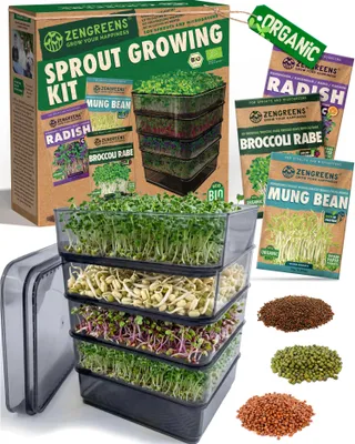 Obrázek produktu pro ZenGreens® Klíčidlo se 4 patry a 3 druhy semínek na klíčení – věž na klíčky