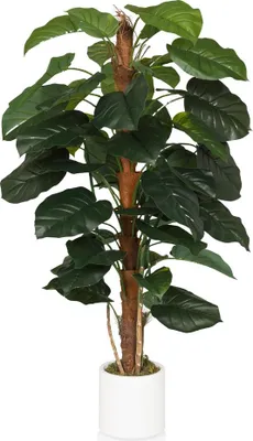 Obrázok produktu pre hjh OFFICE Umelá rastlina EPIPREMNUM Umelá rastlina brečtan Výška 155,0 cm Dekorácie