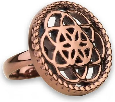 Produktbild von Ring 56 - bronze - Edelstahl - Blume