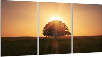 Produktbild von Glasschutzplatte für Herd 3x30x52