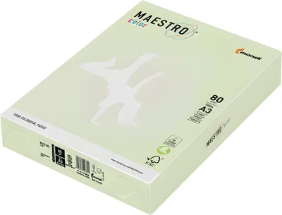 Obrázek produktu pro Maestro® Colour Intensive -  Lime green 80g A3 500 listů