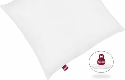 Produktbild von Abeil Kopfkissen 60 x 60 cm (2 Stück)