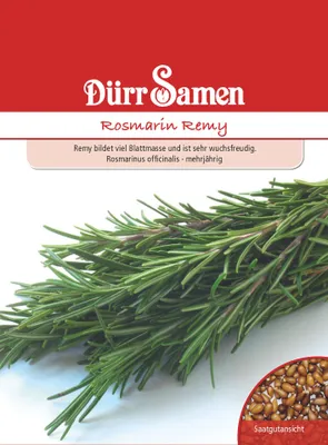 Produktbild von Rosmarin Remy | Rosmarinsamen von Dürr Samen