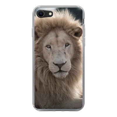 Produktbild von MuchoWow® Handyhülle Schutzhülle Hülle für iPhone SE 2020 Löwe - Tier - Weiß Silikon Softcase Handy Hülle - Kartenbesitzer