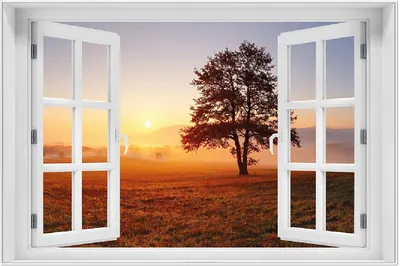 Produktbild von Wallario Wandbild mit Fenster-Illusion: Sonnenaufgang über der Wiese mit Nebel, Größe: 61 x 91,5 cm, Poster mit weißem Aluminiumrahmen