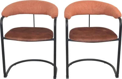 Produktbild von Moderner Armlehnstuhl im 2er-Set