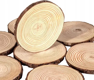 Image de bOIS DE CONSTRUCTION 10-12cm XL DECORATION DE TABLE