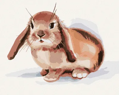 Produktbild von Zuty - Malen nach Zahlen - BRAUNES KANINCHEN AUF WEISSEM HINTERGRUND, 40x50 cm, mit Keilrahmen (bereits gespannt)