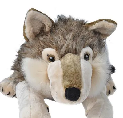 Image de Ck Jumbo Loup 76 Cm