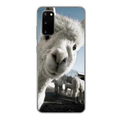 Produktbild von MuchoWow® Handyhülle Schutzhülle Hülle für Samsung Galaxy S20 Alpaka - Weiß - Tier Silikon Softcase Handy Hülle - Bild
