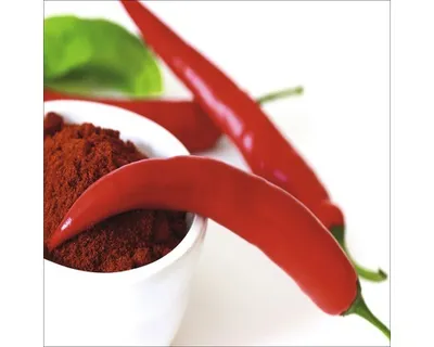 Produktbild von Glasbild Jalapeno Pepper I 30x30 cm