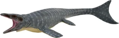 Obrázok produktu pre COLLECTA Mosasaurus - (XL)