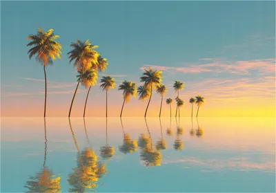 Produktbild von Fototapete Strand Meer Palmen 3D Effekt Natur - 350x250 cm - inklusive kleister - Vlies Tapete - Vliestapete Wohnzimmer Schlafzimmer Küche Modern Wandtapete