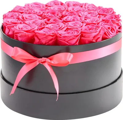 Image de SucceBuy 27 pcs. Roses éternelles dans une boîte cadeau ronde, bouquet de fleurs préservées, cadeau floral pour épouses, mères, partenaires, idéal pour mariage, fête des mères, Saint-Valentin, Noël, en rouge rose