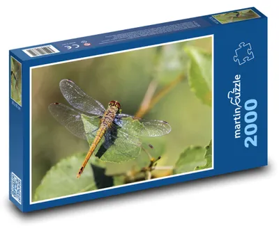 Zdjęcie produktu dla Puzzle 2000 Ważka na zielonym liściu - martinpuzzle