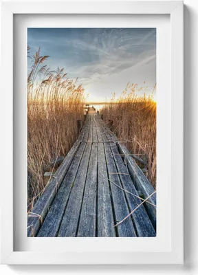Produktbild von Hölzerne Straße zwischen den Pfaden– Wandbild mit Rahmen – Gerahmtes Bild  – Wanddekoration – 20x30 cm – Weiß