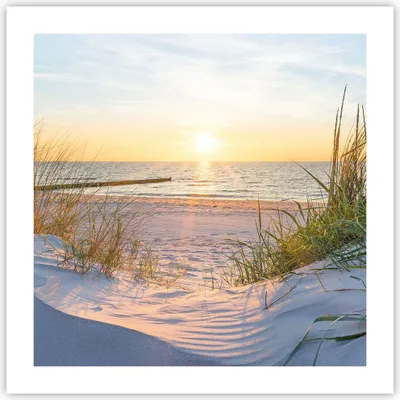 Produktbild von Poster - Poster ohne Rahmen - Düne Strand Meer - 50x50 cm - Wand Bild - Wanddeko - Wandbilder - Kunstposter - Wandposter - Bilder - Kunstdruck - Wanddekoration - Wandbild - P2XAC50x50-3989