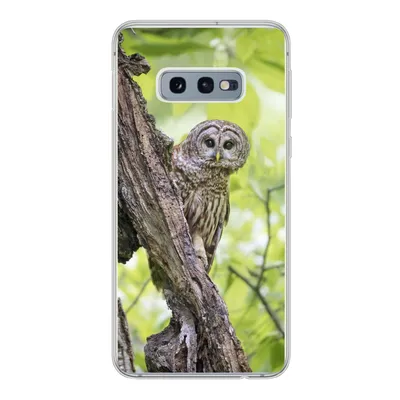 Produktbild von MuchoWow® Handyhülle Schutzhülle Hülle für Samsung Galaxy S10e Eule - Wald - Licht Silikon Softcase Handy Hülle - Handy