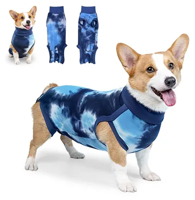 Produktbild von Erholungspaket für Hunde nach Kastration, in Blau