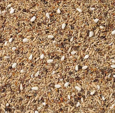 Productafbeelding van Deli Nature Grote Parkiet zonder zonnepitten 68 20KG