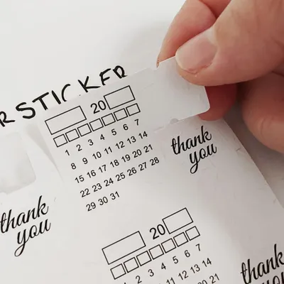 Imagen del producto de Calcomanías para calendario, registro mensual, 32 meses, de colores, para planificadores anuales y agendas