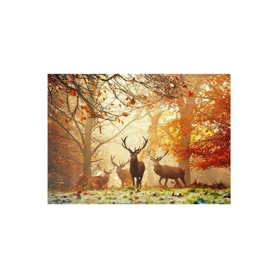 Zdjęcie produktu dla Heye Puzzle Stags, 1000 szt., Animals