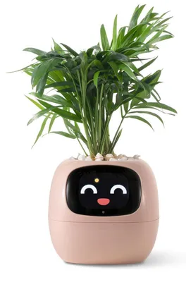 Produktbild von Intelligenter Blumentopf mit App-Steuerung und automatischem Bewässerungssystem, Pink