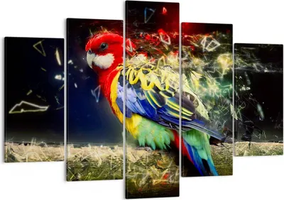 Produktbild von Bild auf Leinwand - Leinwandbild - Papagei Vogel Feder - 150x100cm - Wand Bild - Wanddeko - Leinwanddruck - Bilder - Kunstdruck - Wanddekoration - Leinwand bilder - Wandkunst - EA150x100-3682