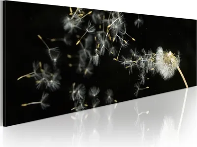 Produktbild von Modernes Wandbild 9060121 (120x40) - 1 Teilig Bilder Fotografie auf Vlies Leinwand Foto Bild Dekoration Wand Bilder Kunstdruck