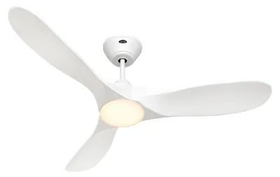 Immagine prodotto di ECO GENUINO L 122, Ventilatore con Luce, CasaFan