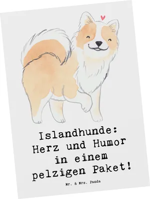 Produktbild von Mr. & Mrs. Panda Grußkarte Islandhund Freude - Weiß - Geschenk, charmante Hunde, Hunderassen, Schafhunde, Hund, Ansichtskarten, Kunstkarten, Postkarte, Ansichtskarte