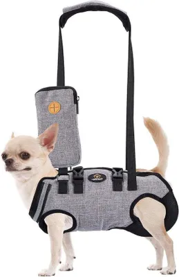 Image de Harnais pour petits chiens - harnais complet