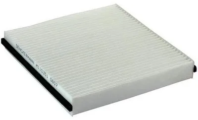 Image de EBG Filtre d'habitacle anti-pollen Renault 52485325 7701048748