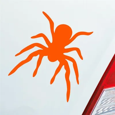 Produktbild von Auto Aufkleber Spinne Spider giftig Tier Ekel 10x10,5 cm Orange Sticker Heckscheibenaufkleber