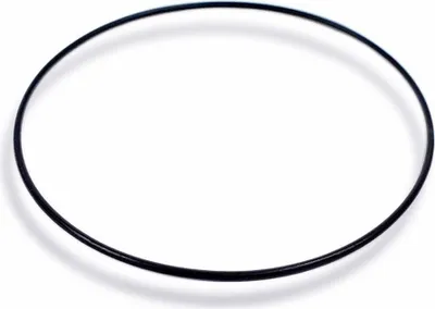 Produktbild von Casio Dichtungsring O-Ring für MRW-200H MRW-200HC MRW-200HD 10393903
