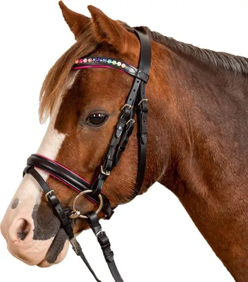 Obrázok produktu pre Waldhausen Snaffle Uzda Star Pinky Snaffle Black SH