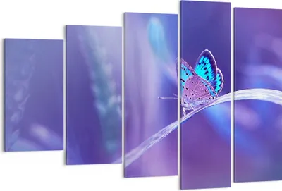 Produktbild von Bild auf Leinwand - Leinwandbild - Schmetterling Natur - 150x100cm - Wand Bild - Wanddeko - Leinwanddruck - Bilder - Kunstdruck - Wanddekoration - Leinwand bilder - Wandkunst - EG150x100-3879