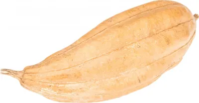 Produktbild von Schwammgurke Natur Länge ca.8-15 cm, Ø 4-6 cm | Luffa aegyptiaca
