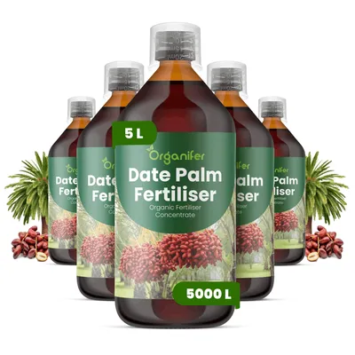 Produktbild von Dattelpalmen Flüssigdünger 5x1L – 2-1-8 NPK – Flüssigdünger Für Palmen – Für Blätter & Kräftiges Wachstum – Fördert Wurzeln & Vitalität – Organifer