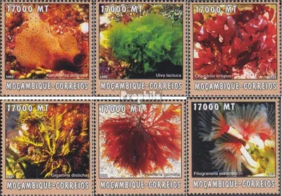 Produktbild von Briefmarken Mosambik 2002 Mi 2614-2619 postfrisch Welt des Meeres