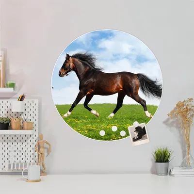 Produktbild von Design Stahlmagnettafel Weiß Rund 47cm Pferd